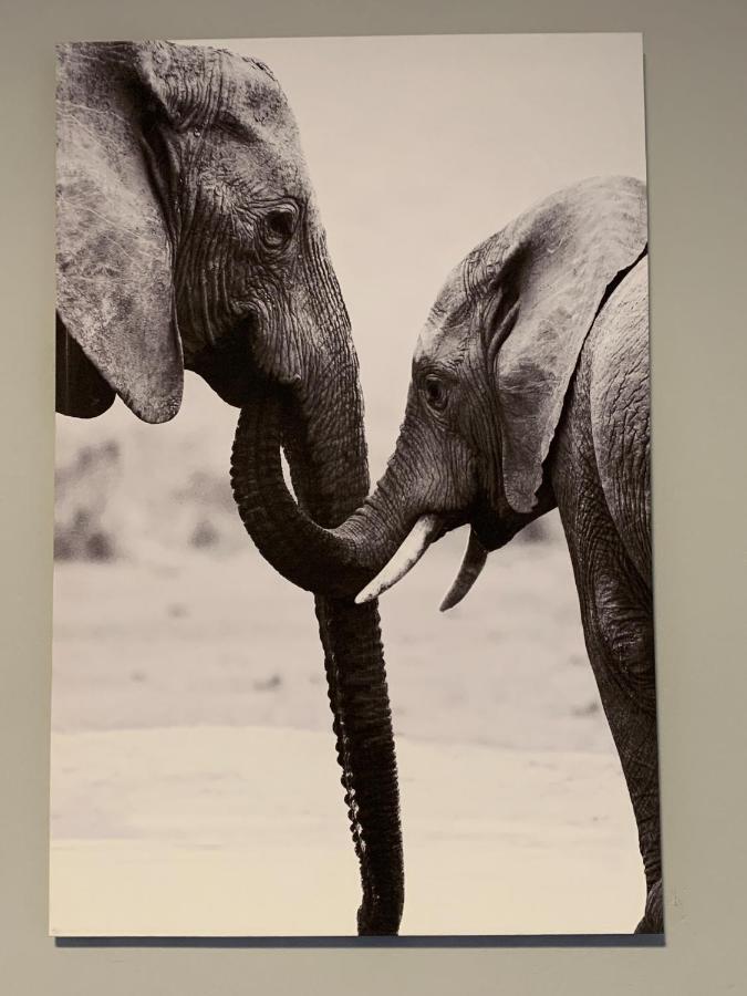 Elephant House, 2 Bedroom House, Next To Pilanesberg And Sun City Mogwase Екстериор снимка